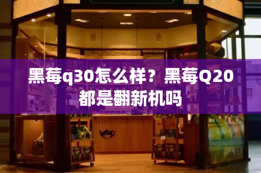 黑莓q30怎么样？黑莓Q20都是翻新机吗-第1张图片-星选测评
