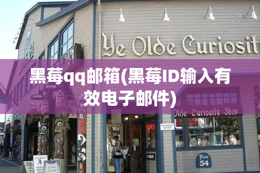 黑莓qq邮箱(黑莓ID输入有效电子邮件)
