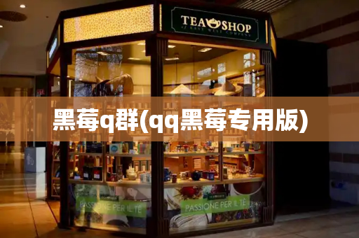 黑莓q群(qq黑莓专用版)