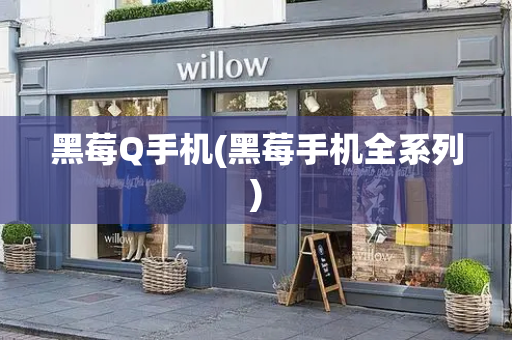 黑莓Q手机(黑莓手机全系列)