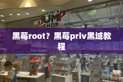 黑莓root？黑莓priv黑域教程-第1张图片-星选测评