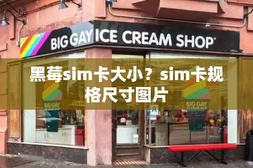 黑莓sim卡大小？sim卡规格尺寸图片-第1张图片-星选测评