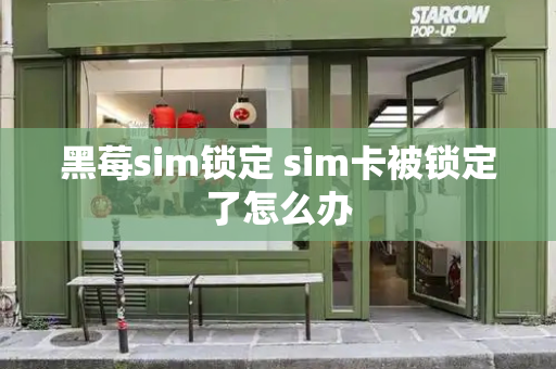 黑莓sim锁定 sim卡被锁定了怎么办-第1张图片-星选测评