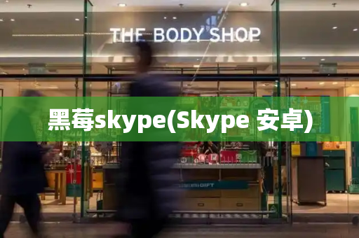 黑莓skype(Skype 安卓)-第1张图片-星选测评