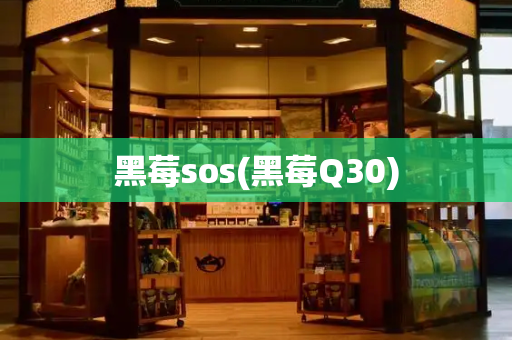 黑莓sos(黑莓Q30)-第1张图片-星选测评