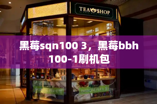黑莓sqn100 3，黑莓bbh100-1刷机包