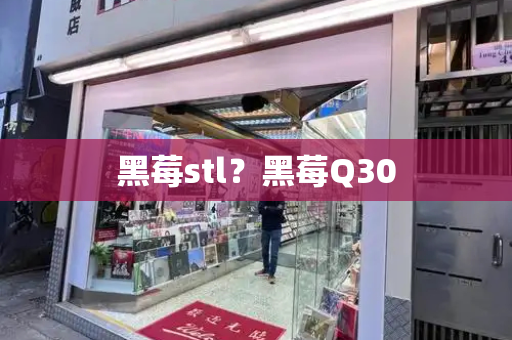 黑莓stl？黑莓Q30-第1张图片-星选测评