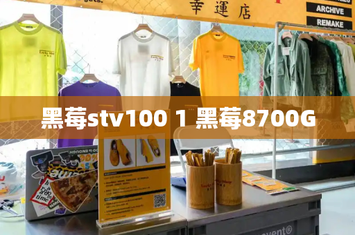 黑莓stv100 1 黑莓8700G