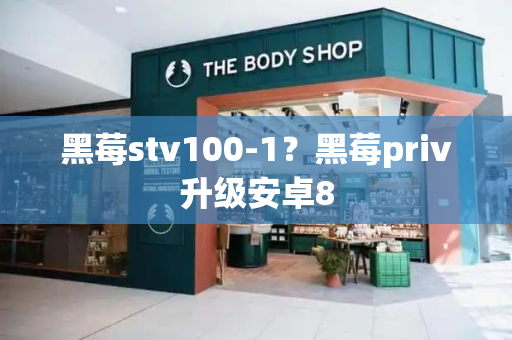 黑莓stv100-1？黑莓priv升级安卓8-第1张图片-星选测评