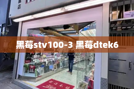 黑莓stv100-3 黑莓dtek60