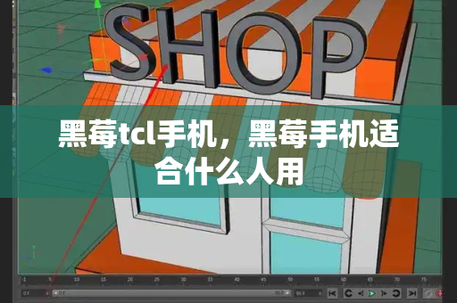 黑莓tcl手机，黑莓手机适合什么人用