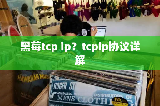 黑莓tcp ip？tcpip协议详解