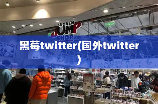 黑莓twitter(国外twitter)