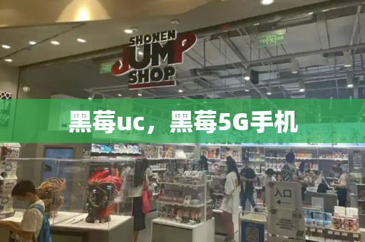 黑莓uc，黑莓5G手机-第1张图片-星选测评