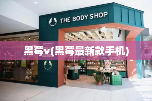 黑莓v(黑莓最新款手机)