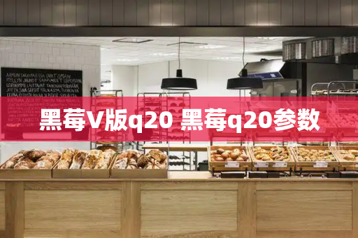 黑莓V版q20 黑莓q20参数-第1张图片-星选测评