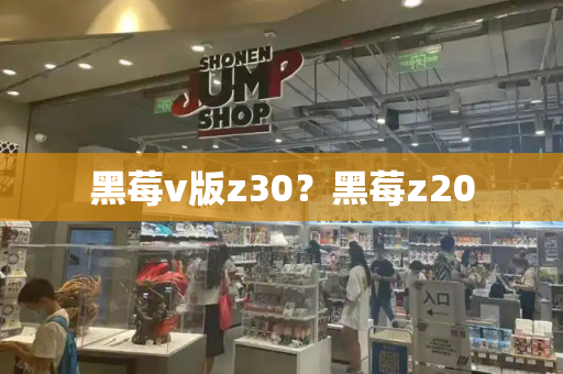 黑莓v版z30？黑莓z20-第1张图片-星选测评