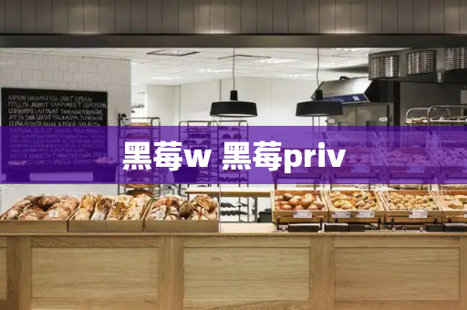 黑莓w 黑莓priv-第1张图片-星选测评