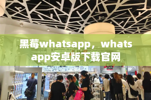 黑莓whatsapp，whatsapp安卓版下载官网