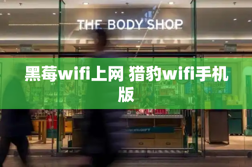 黑莓wifi上网 猎豹wifi手机版-第1张图片-星选测评