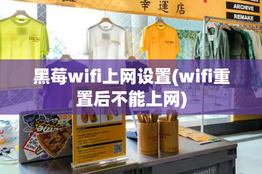 黑莓wifi上网设置(wifi重置后不能上网)-第1张图片-星选测评