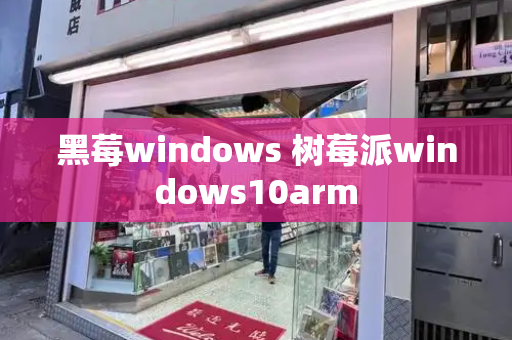 黑莓windows 树莓派windows10arm