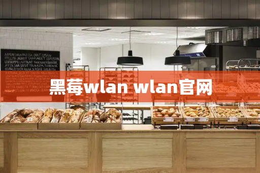 黑莓wlan wlan官网-第1张图片-星选测评