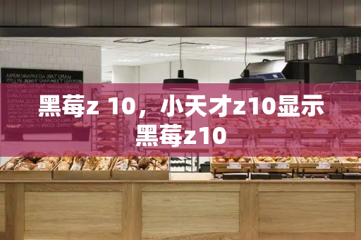 黑莓z 10，小天才z10显示黑莓z10
