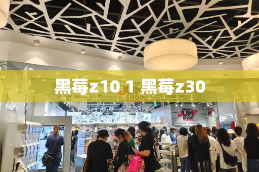 黑莓z10 1 黑莓z30
