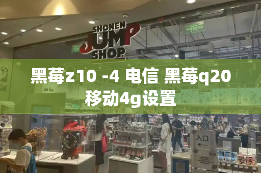 黑莓z10 -4 电信 黑莓q20移动4g设置