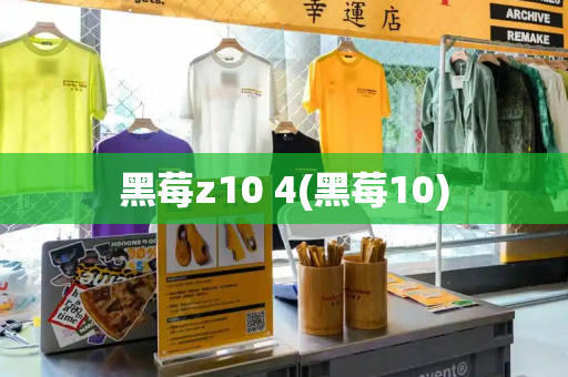 黑莓z10 4(黑莓10)-第1张图片-星选测评