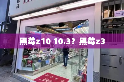 黑莓z10 10.3？黑莓z3