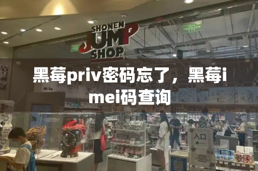 黑莓priv密码忘了，黑莓imei码查询
