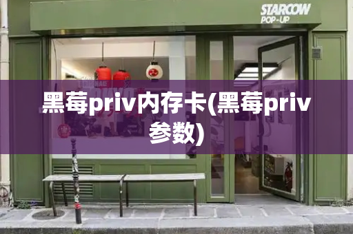 黑莓priv内存卡(黑莓priv参数)