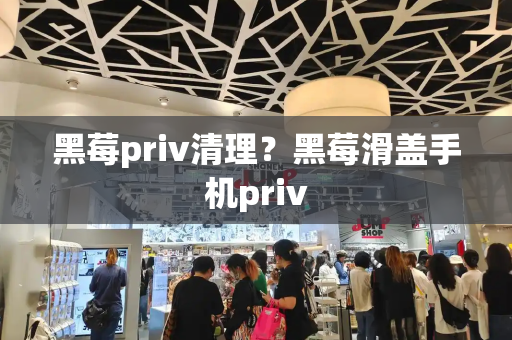 黑莓priv清理？黑莓滑盖手机priv-第1张图片-星选测评