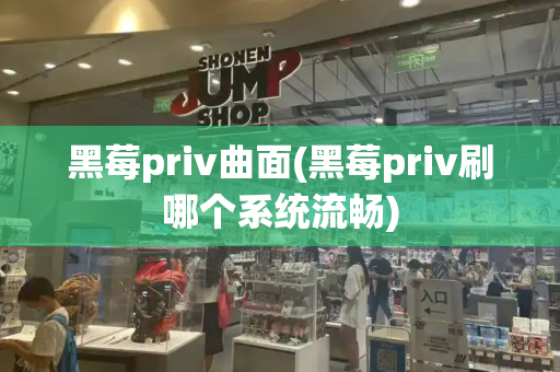 黑莓priv曲面(黑莓priv刷哪个系统流畅)-第1张图片-星选测评