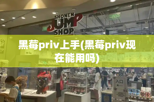 黑莓priv上手(黑莓priv现在能用吗)