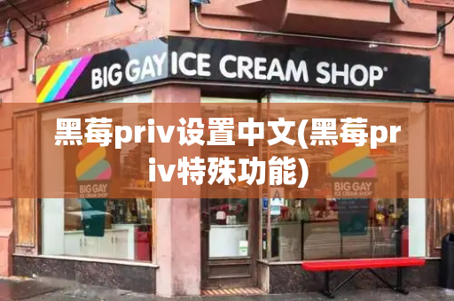 黑莓priv设置中文(黑莓priv特殊功能)