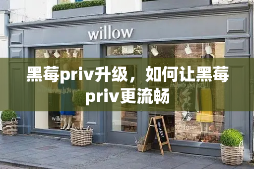 黑莓priv升级，如何让黑莓priv更流畅-第1张图片-星选测评