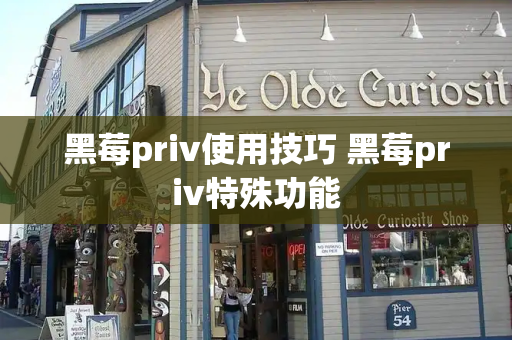 黑莓priv使用技巧 黑莓priv特殊功能