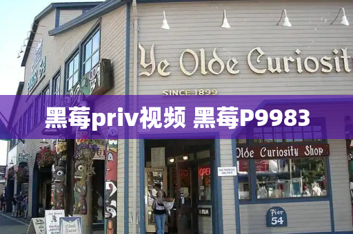 黑莓priv视频 黑莓P9983