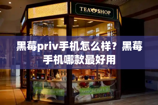 黑莓priv手机怎么样？黑莓手机哪款最好用-第1张图片-星选测评