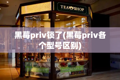 黑莓priv锁了(黑莓priv各个型号区别)-第1张图片-星选测评