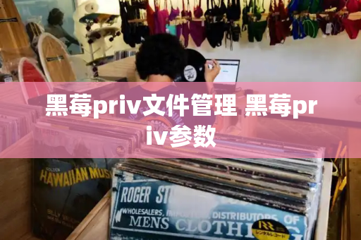 黑莓priv文件管理 黑莓priv参数
