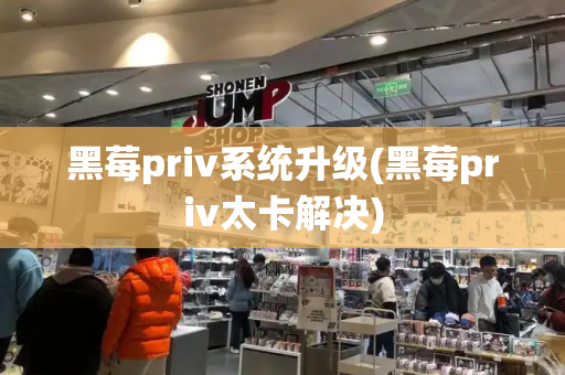 黑莓priv系统升级(黑莓priv太卡解决)-第1张图片-星选测评