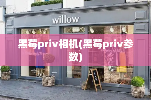 黑莓priv相机(黑莓priv参数)-第1张图片-星选测评