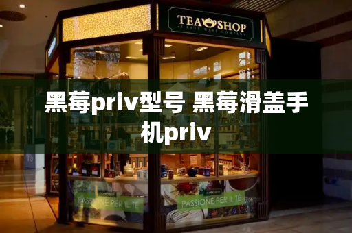 黑莓priv型号 黑莓滑盖手机priv-第1张图片-星选测评