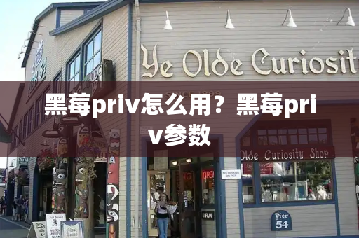 黑莓priv怎么用？黑莓priv参数