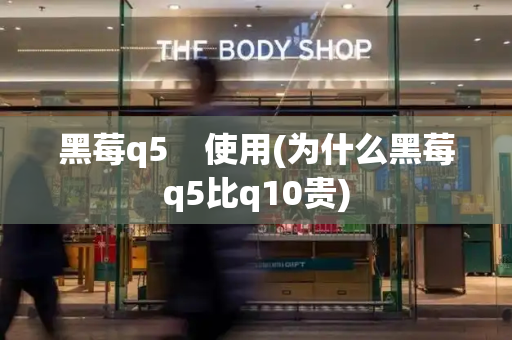 黑莓q5    使用(为什么黑莓q5比q10贵)-第1张图片-星选测评
