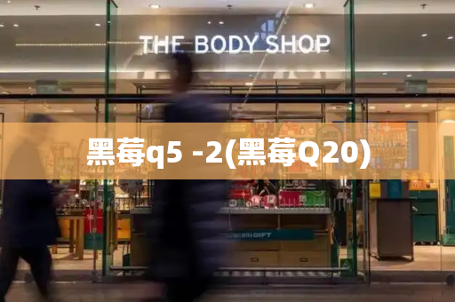 黑莓q5 -2(黑莓Q20)-第1张图片-星选测评